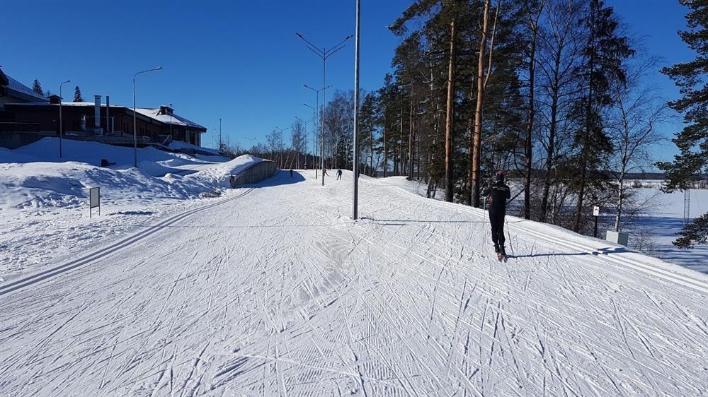 Топ 10 мест в спб ленинградской области для зимнего отдыха на 1 день выходные активный токсово беговые лыжи